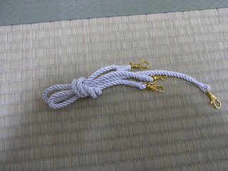 RIMG0005.JPG