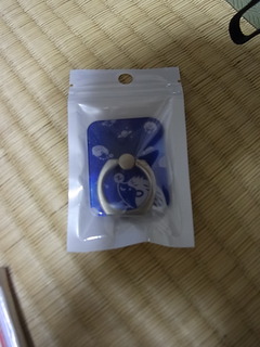 RIMG0006.JPG